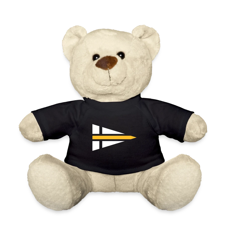 Beispiel eines Alstereck-Shirts